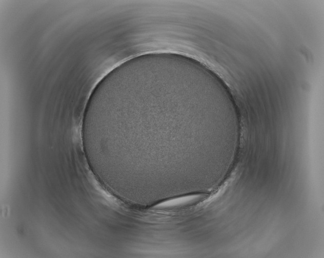 X0000110891513200907021507