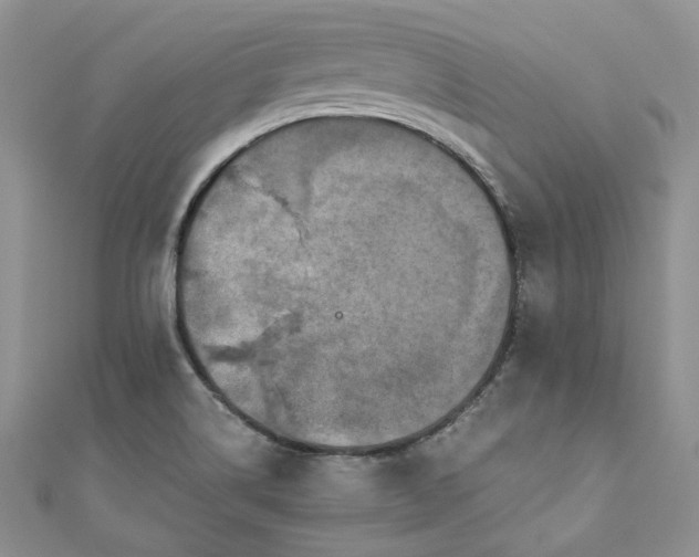 X0000110891514200907021507