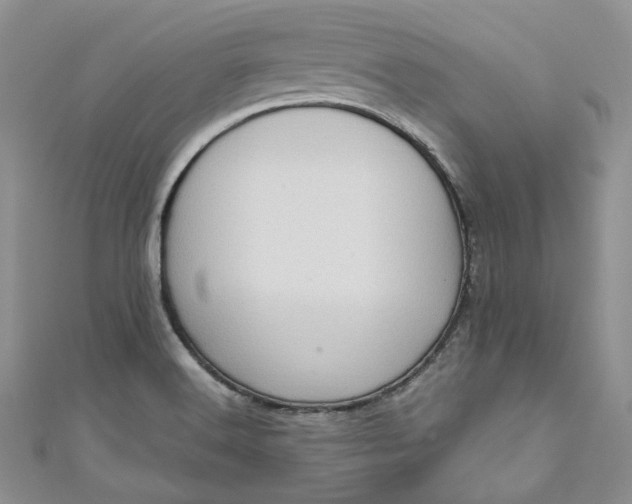 X0000110891516200907021507