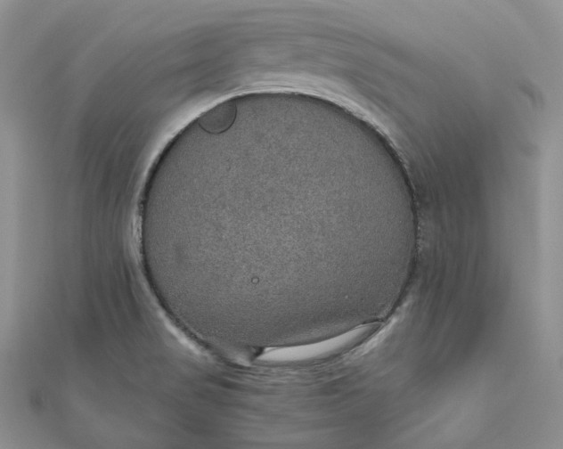 X0000110891517200907021507