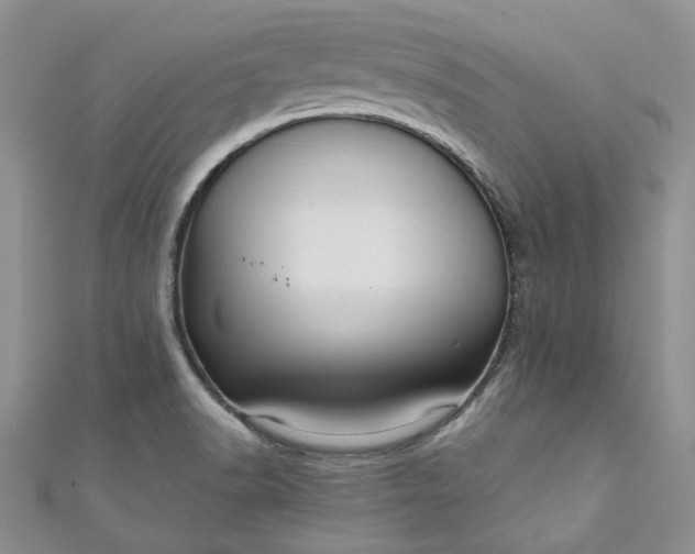 X0000110891518200907021507