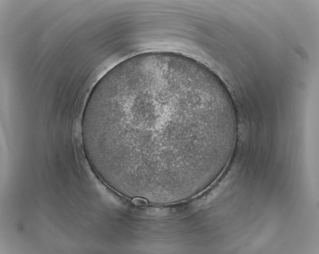 X0000110891521200907021507