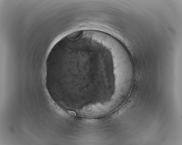 X0000110891522200907021507