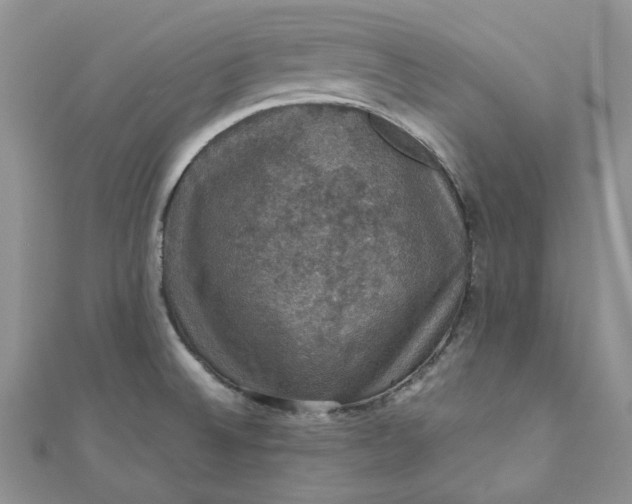 X0000110891524200907021507