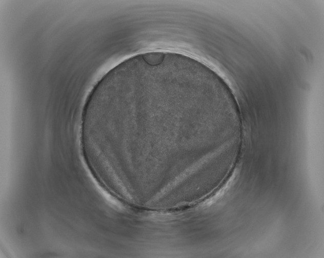 X0000110891525200907021507