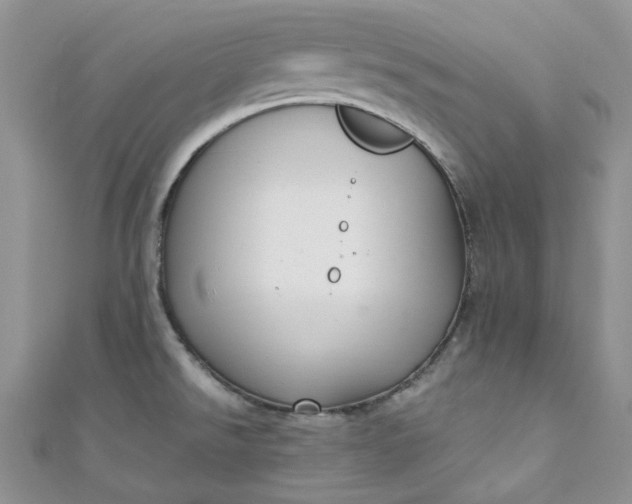 X0000110891526200907021507