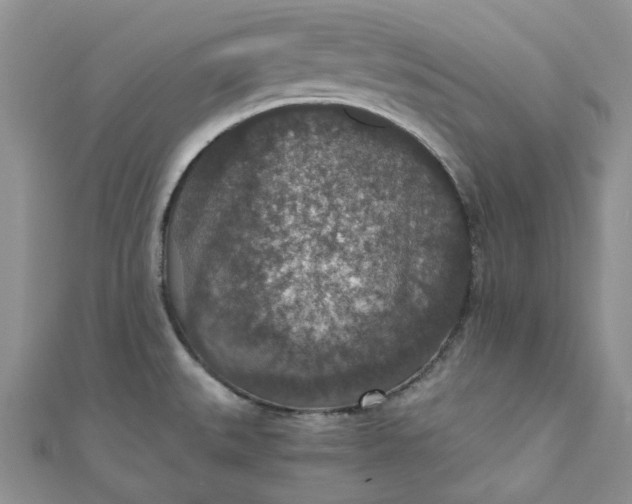 X0000110891527200907021507