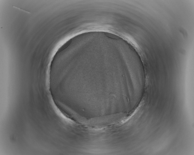 X0000110891528200907021507