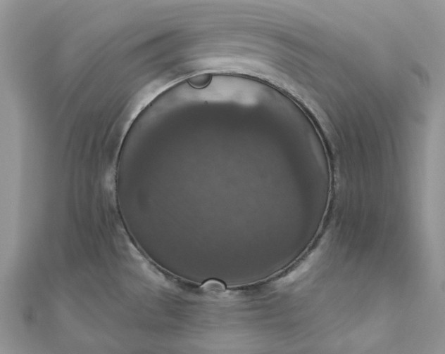 X0000110891529200907021507
