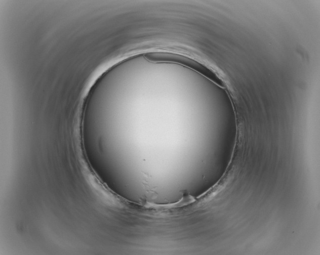 X0000110891530200907021507