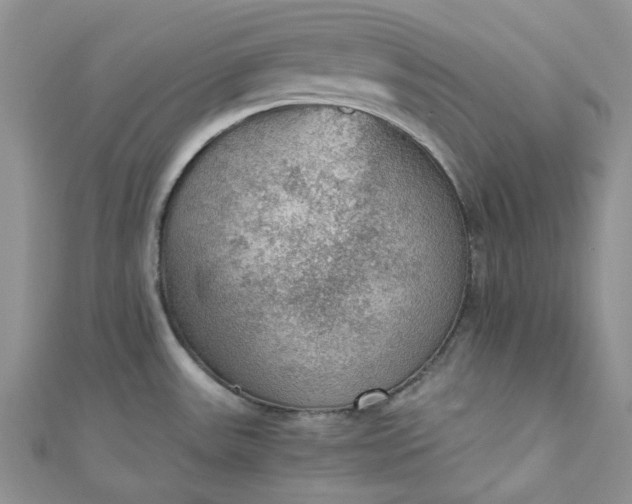 X0000110891531200907021507