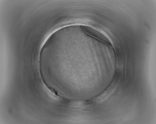 X0000110891532200907021507