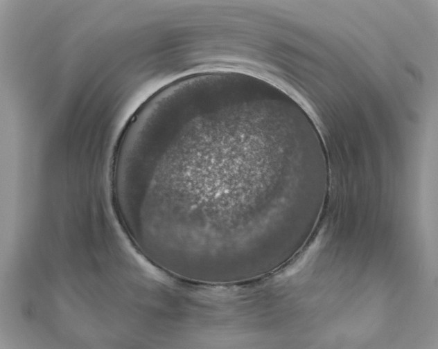 X0000110891533200907021507