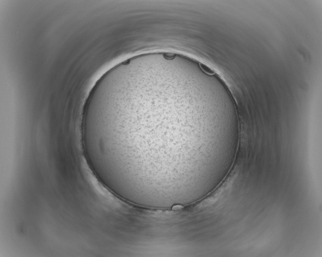 X0000110891534200907021507