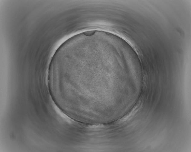 X0000110891535200907021507