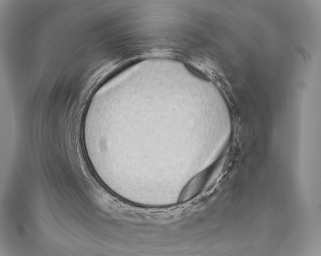 X0000110890001200907091404