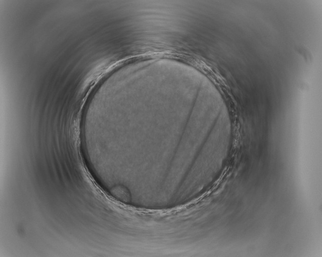 X0000110890002200907091404