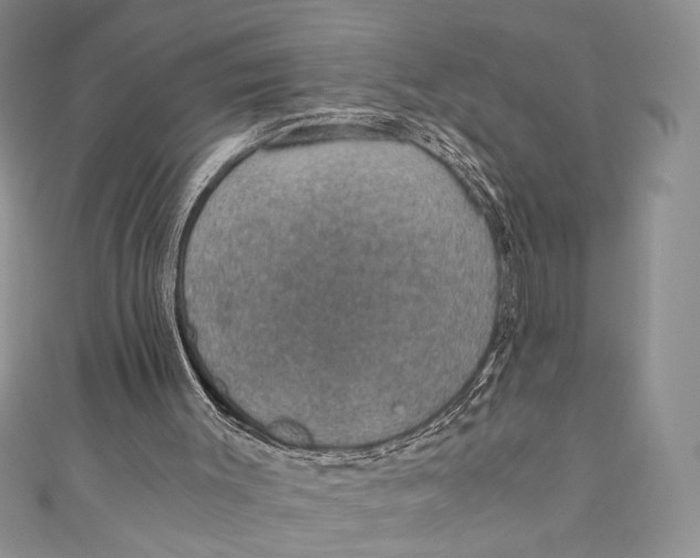 X0000110890003200907091404