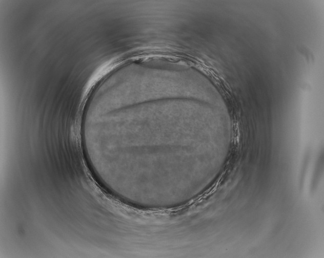 X0000110890004200907091404