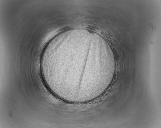 X0000110890005200907091404