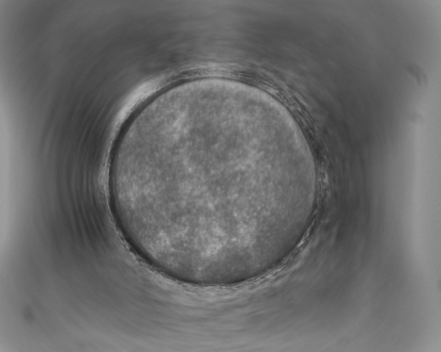 X0000110890006200907091404