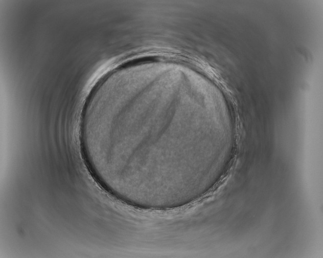 X0000110890007200907091404