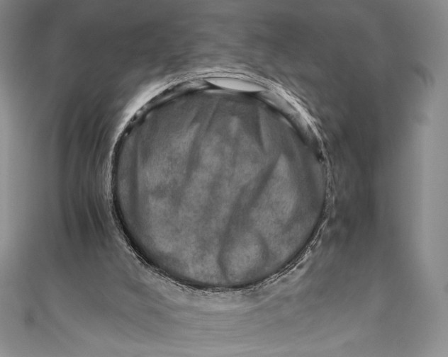 X0000110890008200907091404