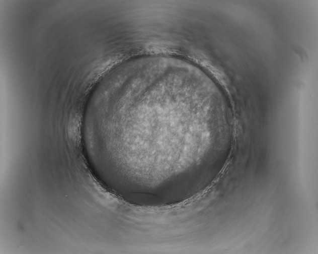 X0000110890009200907091404