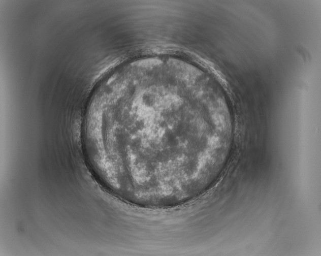 X0000110890010200907091404