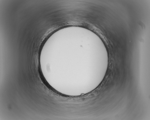 X0000110890011200907091404