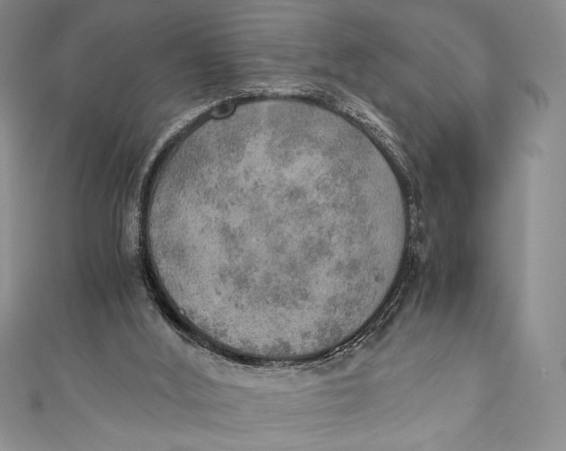 X0000110890012200907091404