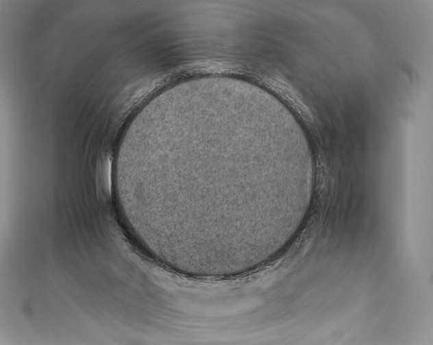 X0000110890014200907091404