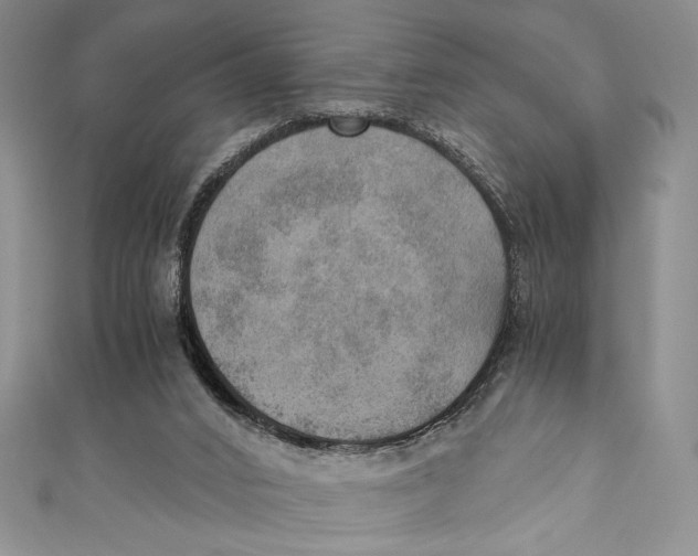 X0000110890016200907091404