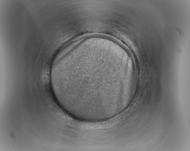 X0000110890017200907091404