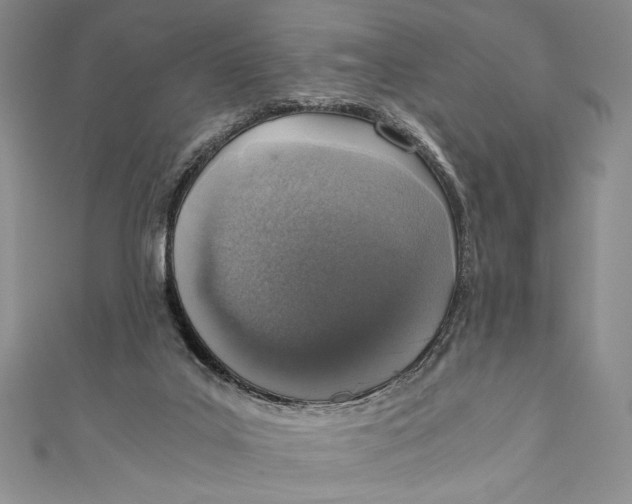 X0000110890019200907091404