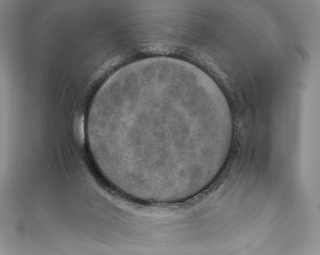 X0000110890020200907091404