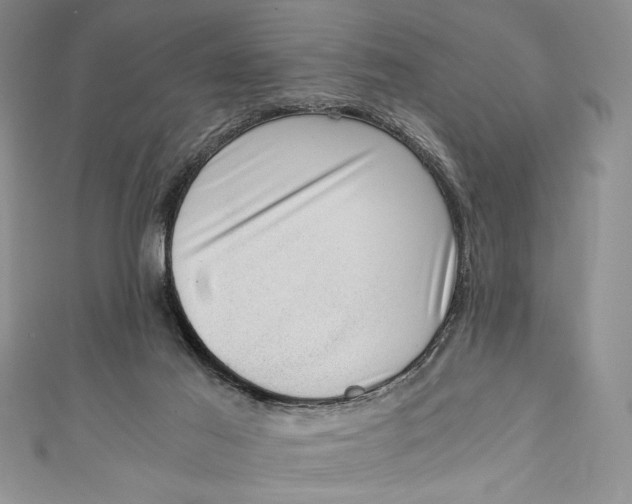 X0000110890021200907091404