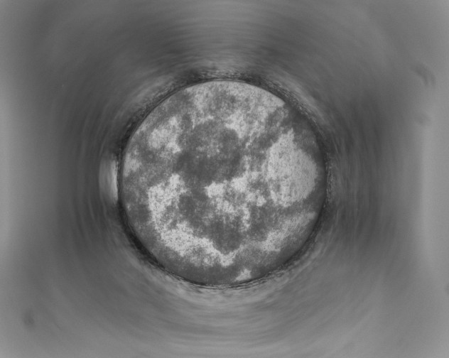 X0000110890022200907091404