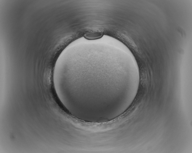 X0000110890023200907091404