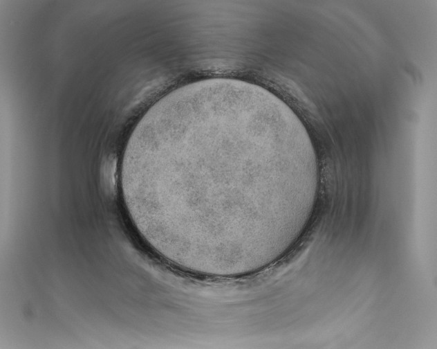 X0000110890024200907091404