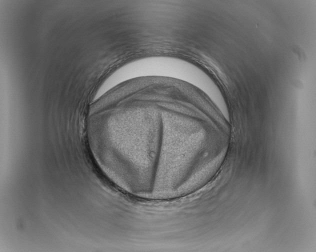 X0000110890025200907091404