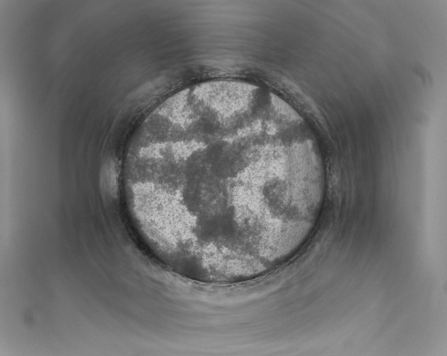 X0000110890026200907091404