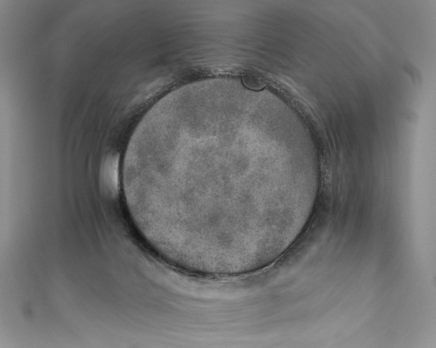 X0000110890028200907091404