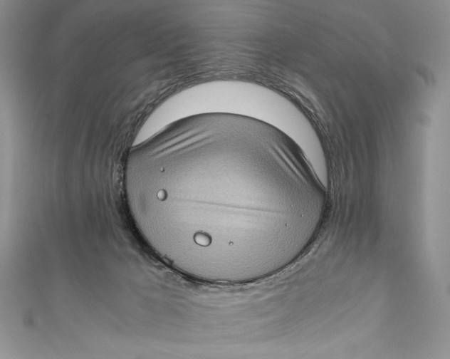 X0000110890029200907091404