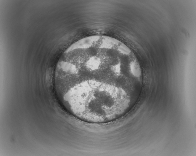 X0000110890030200907091404