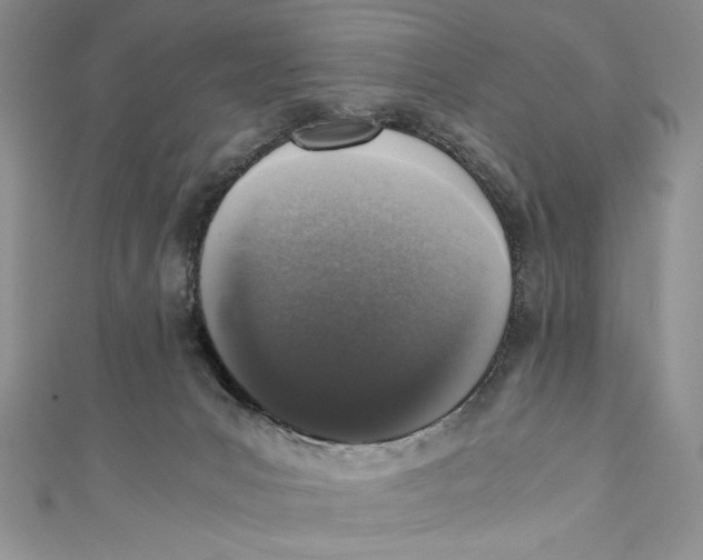 X0000110890031200907091404