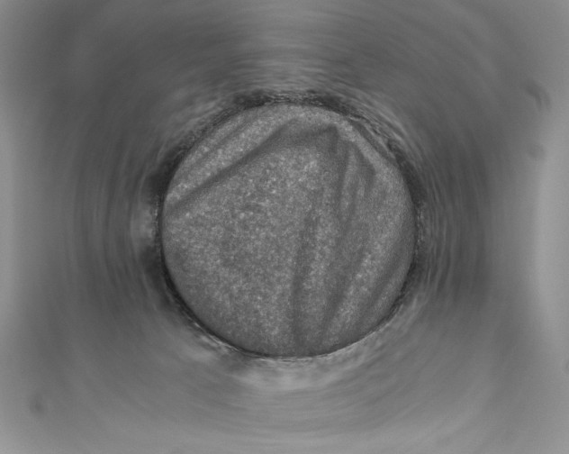 X0000110890033200907091404