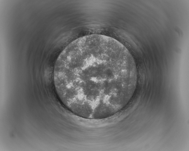 X0000110890034200907091404