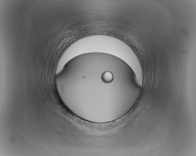 X0000110890035200907091404