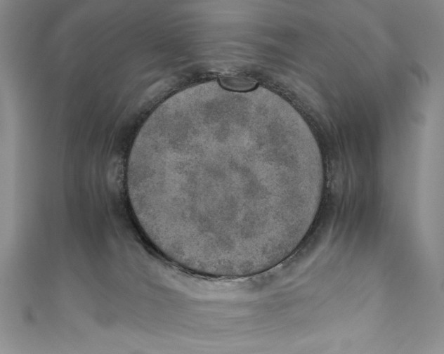 X0000110890036200907091404